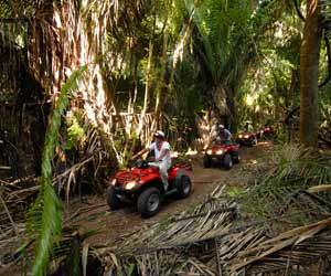 Elephant Trek, ATV, and Rafting