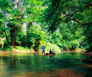 Elephant Trek, ATV, and Rafting